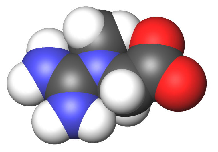 Creatine-3d