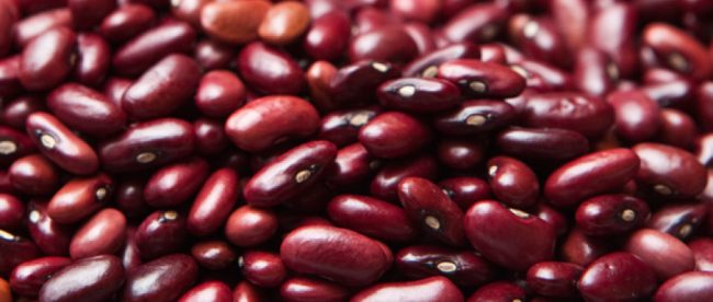 kidney bean pile 622x415 650x276