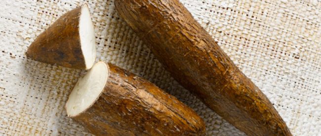 La cassava è conosciuta con diversi nomi tra cui manioca, yuca e maranta.