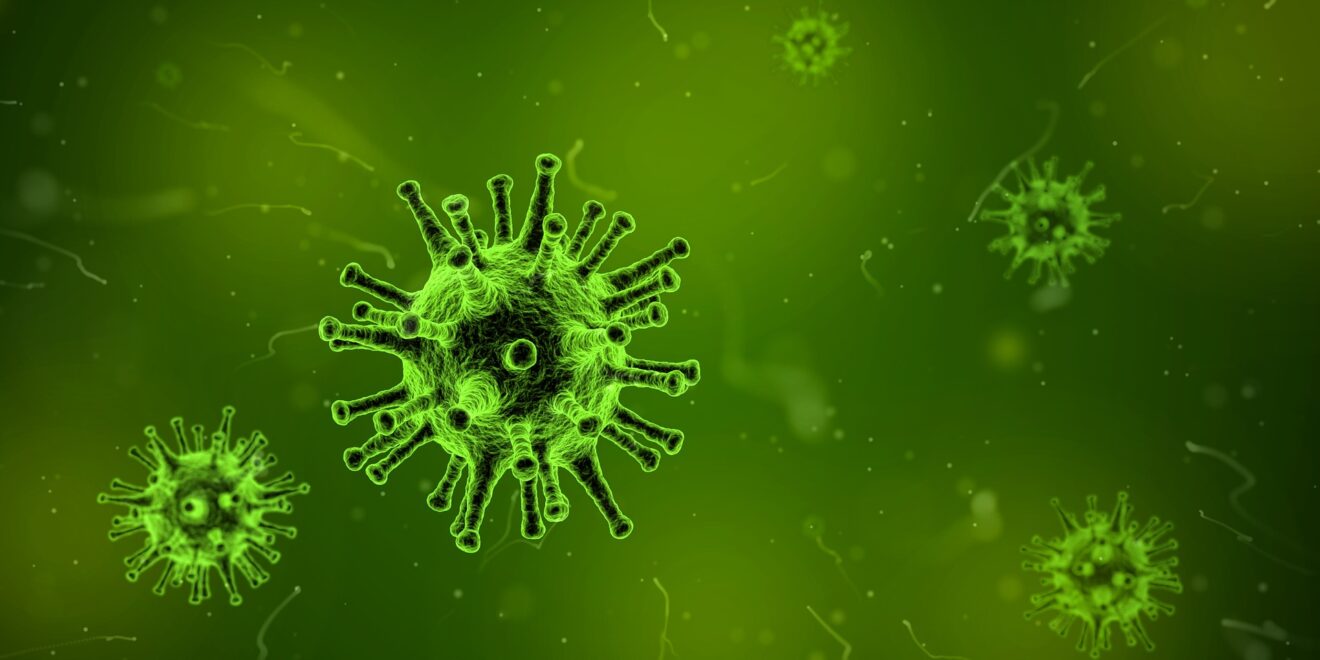 virus respiratorio sinciziale