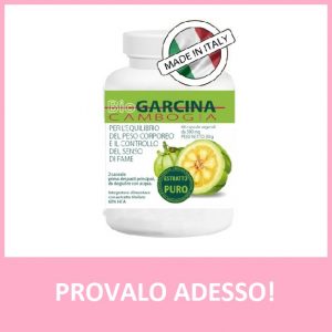 Garcinia-Cambogia-Bioness-1-Mese