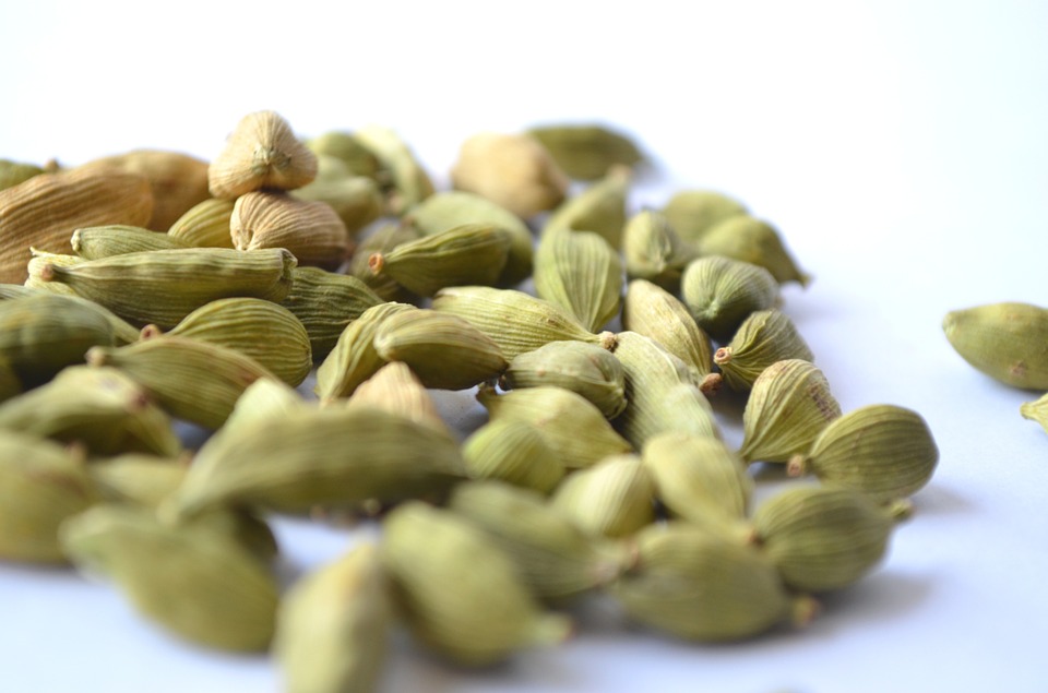 cardamomo