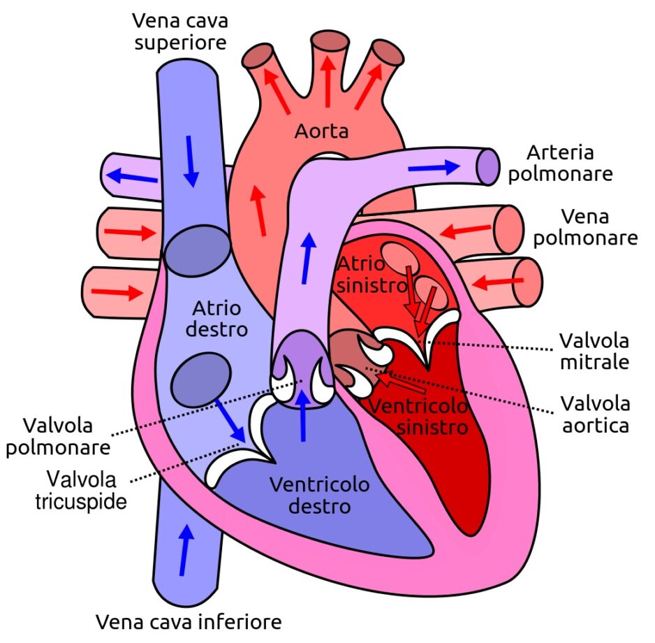 soffio al cuore