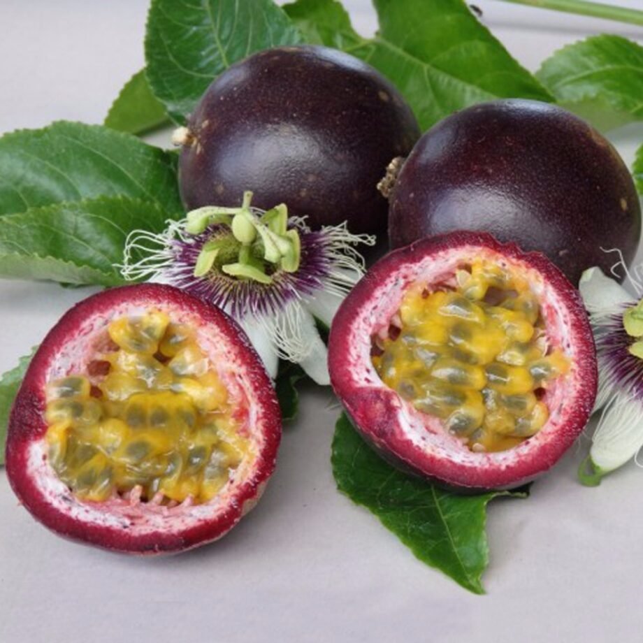 frutto della passione