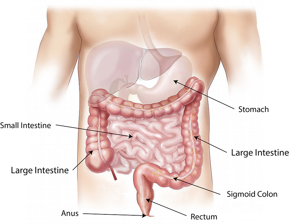 intestino pigro
