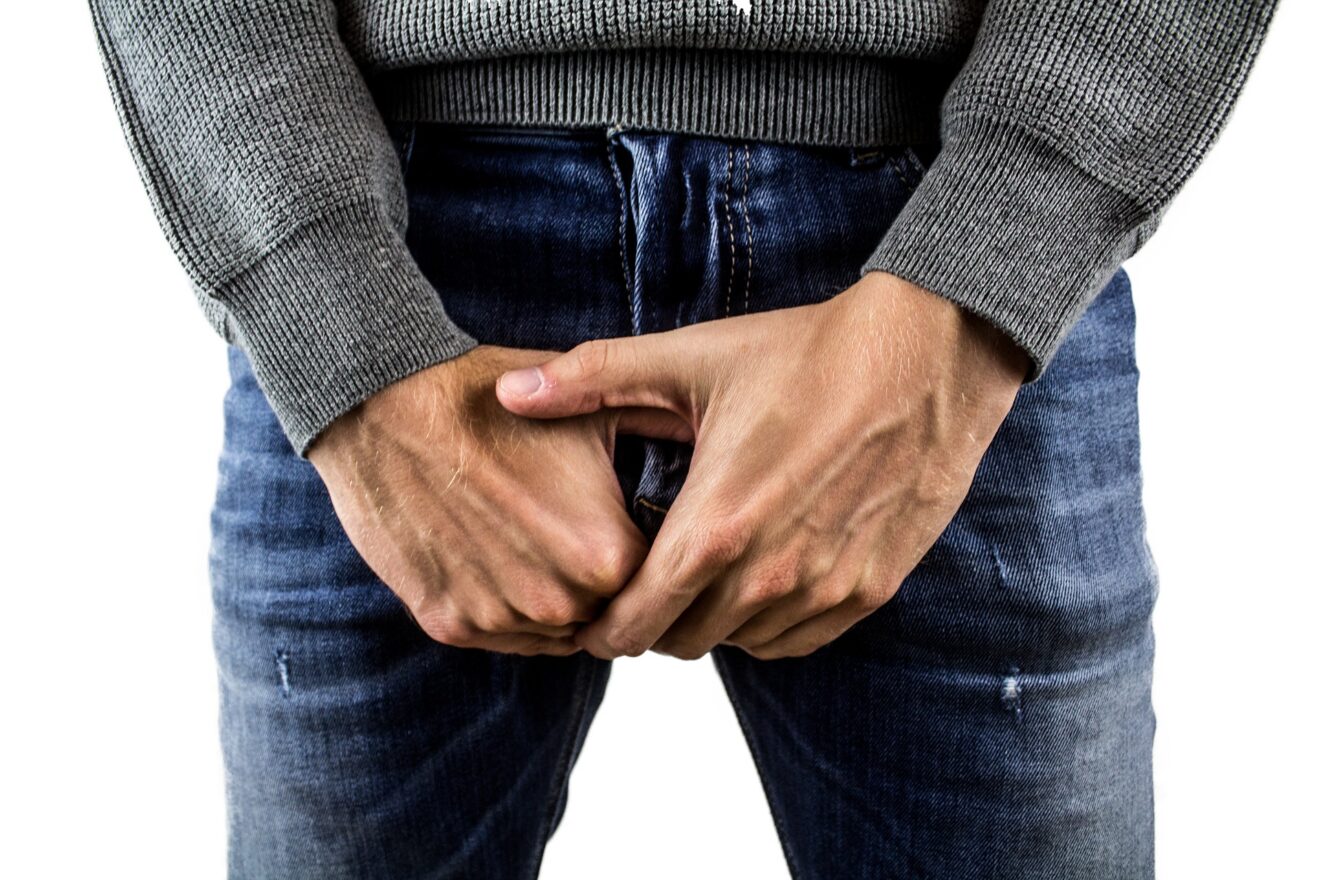 erezione dellorgano genitale maschile