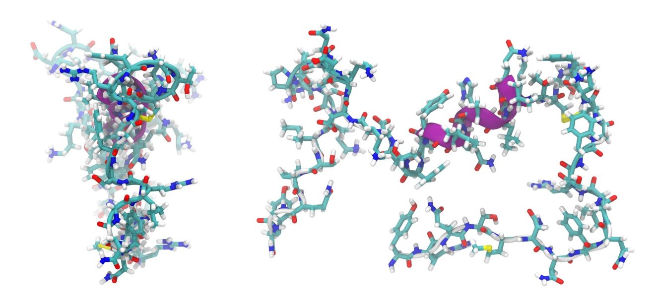 peptide natriuretico