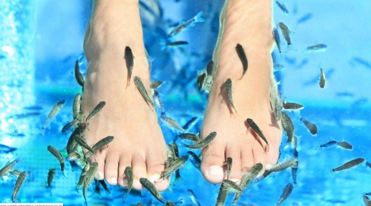 fish pedicure