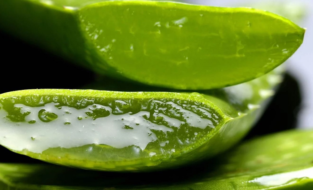 benefici aloe vera