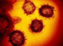 coronavirus e influenza