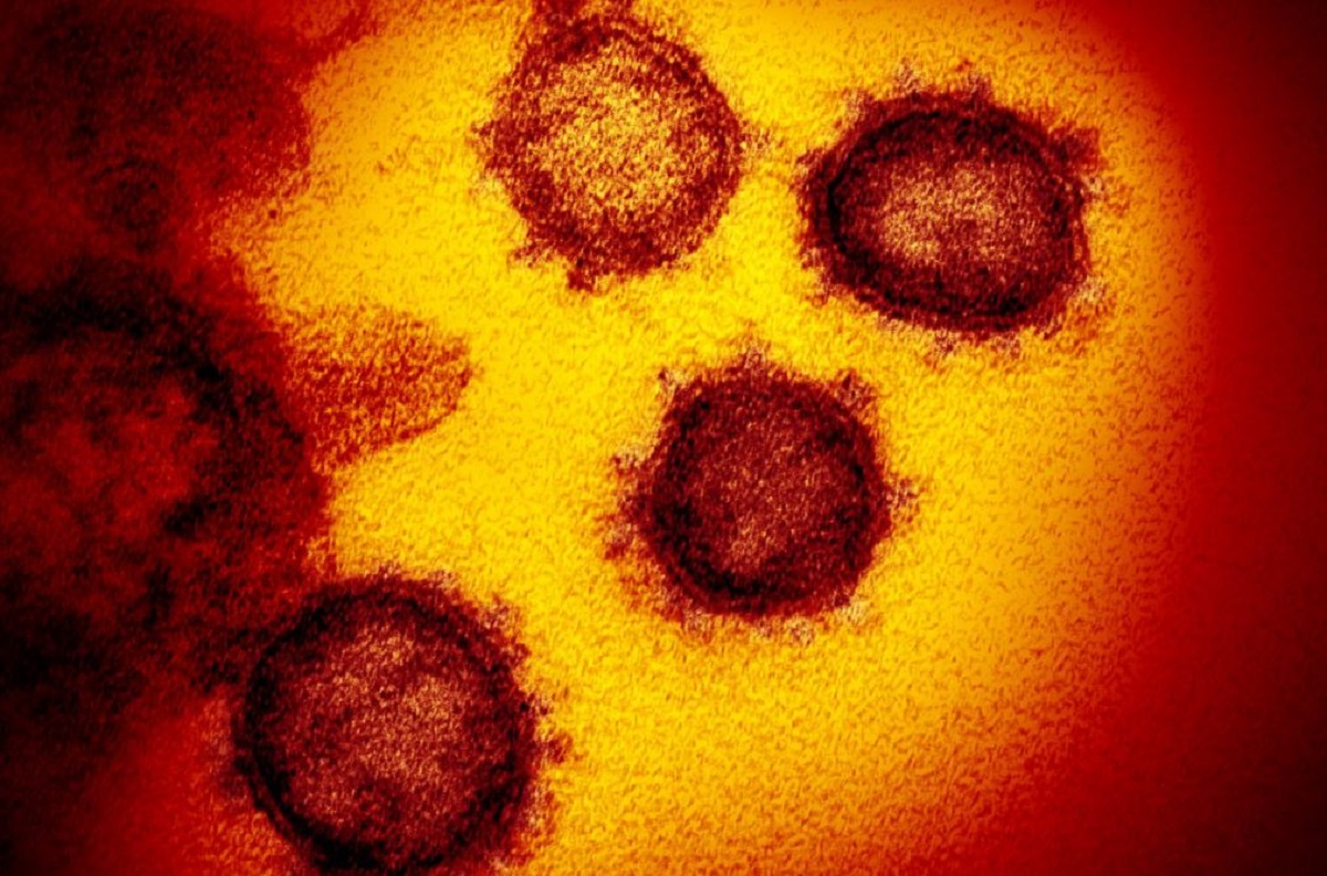 coronavirus e influenza
