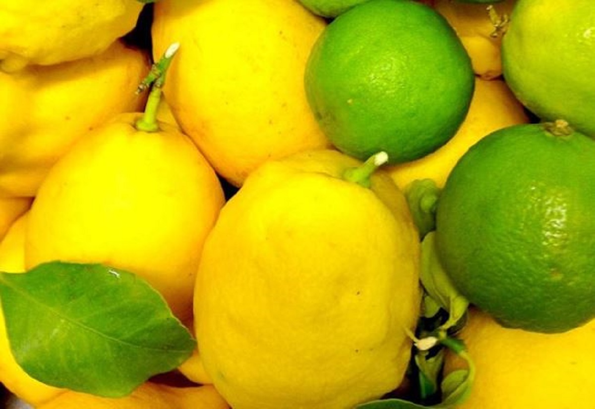 lime e limone