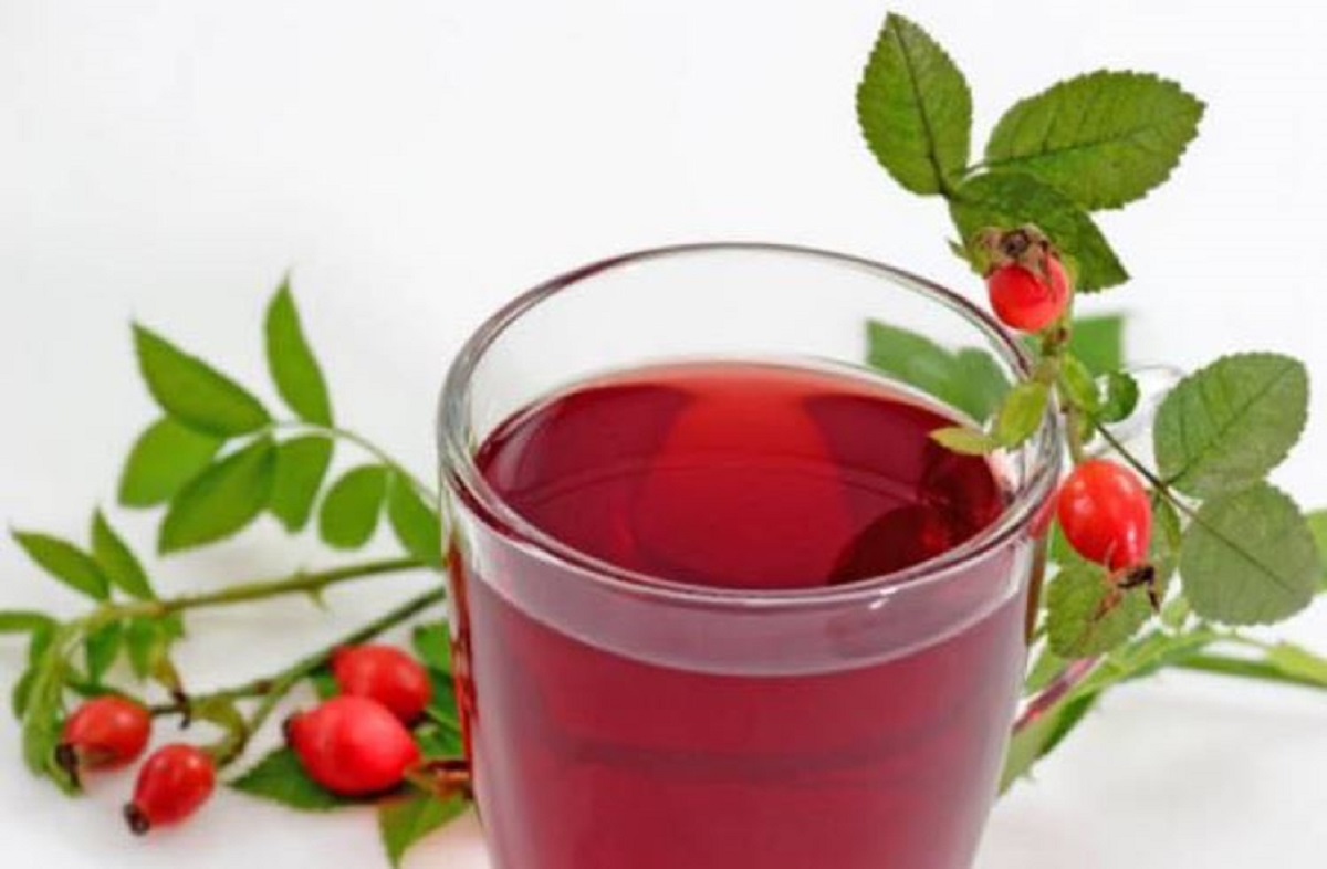 tisana alla rosa canina