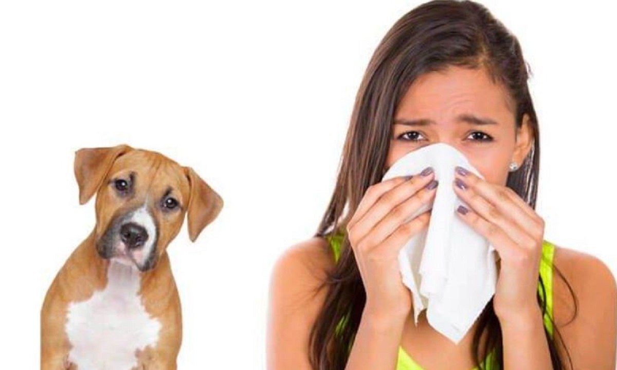 allergia ai cani