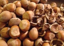 allergia alle nocciole