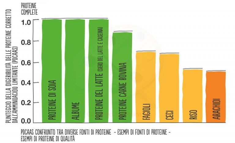 Gli amminoacidi essenziali: dove si trovano