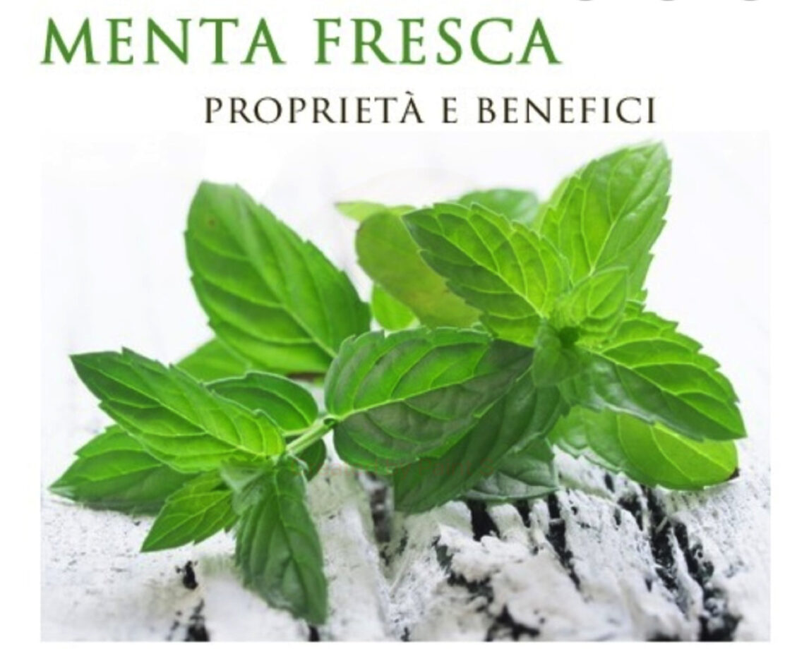 I benefici della menta