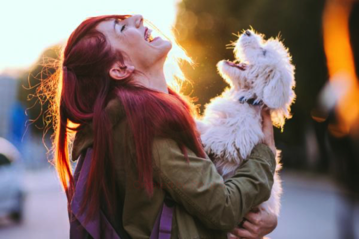 I benefici sulla salute dell'avere un cane