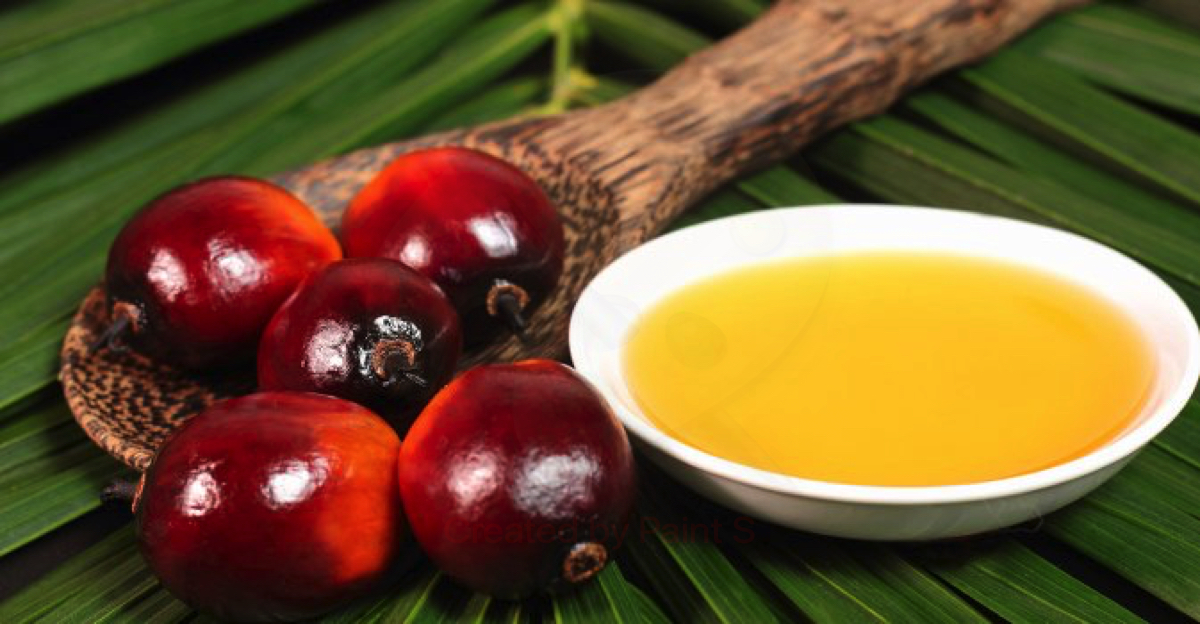 L'olio di palma fa male o bene?
