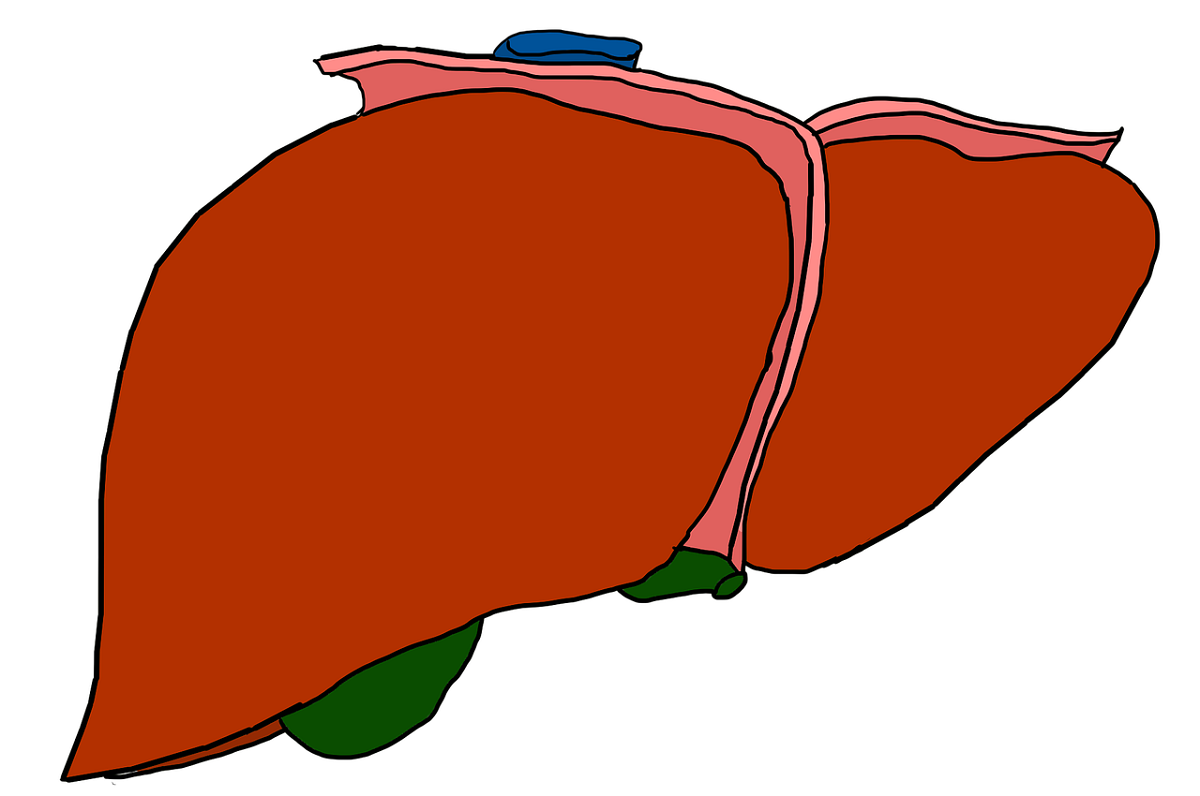 Cause, sintomi e cure per i calcoli