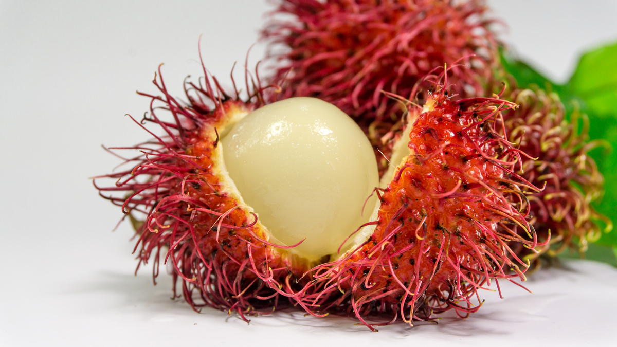 gocce rambutan