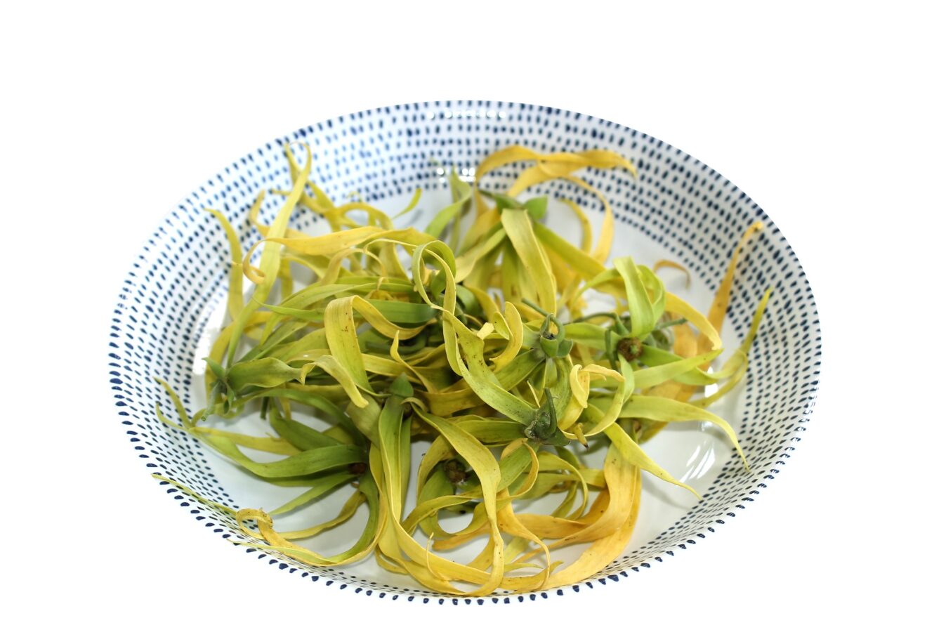 Olio essenziale di ylang ylang: ecco tutte le proprietà