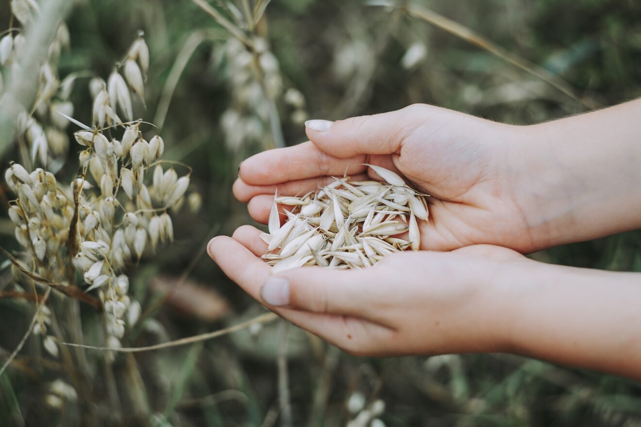 avena nutrire pelle