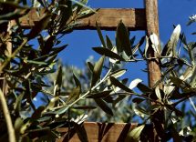 ipertensione