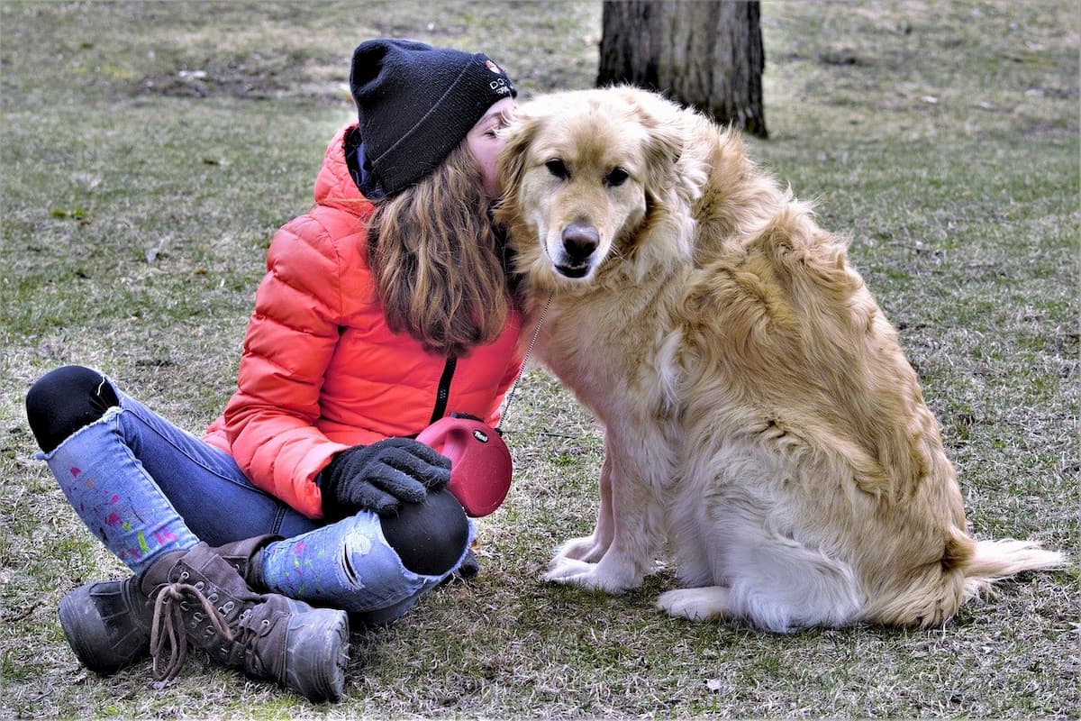 pet therapy