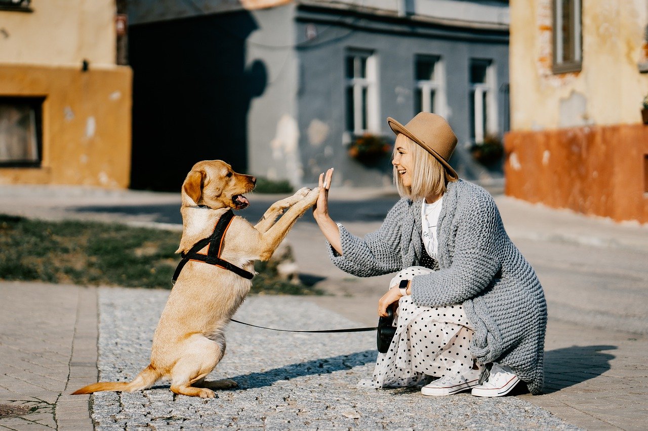 Benefici psicologici di vivere con un cane