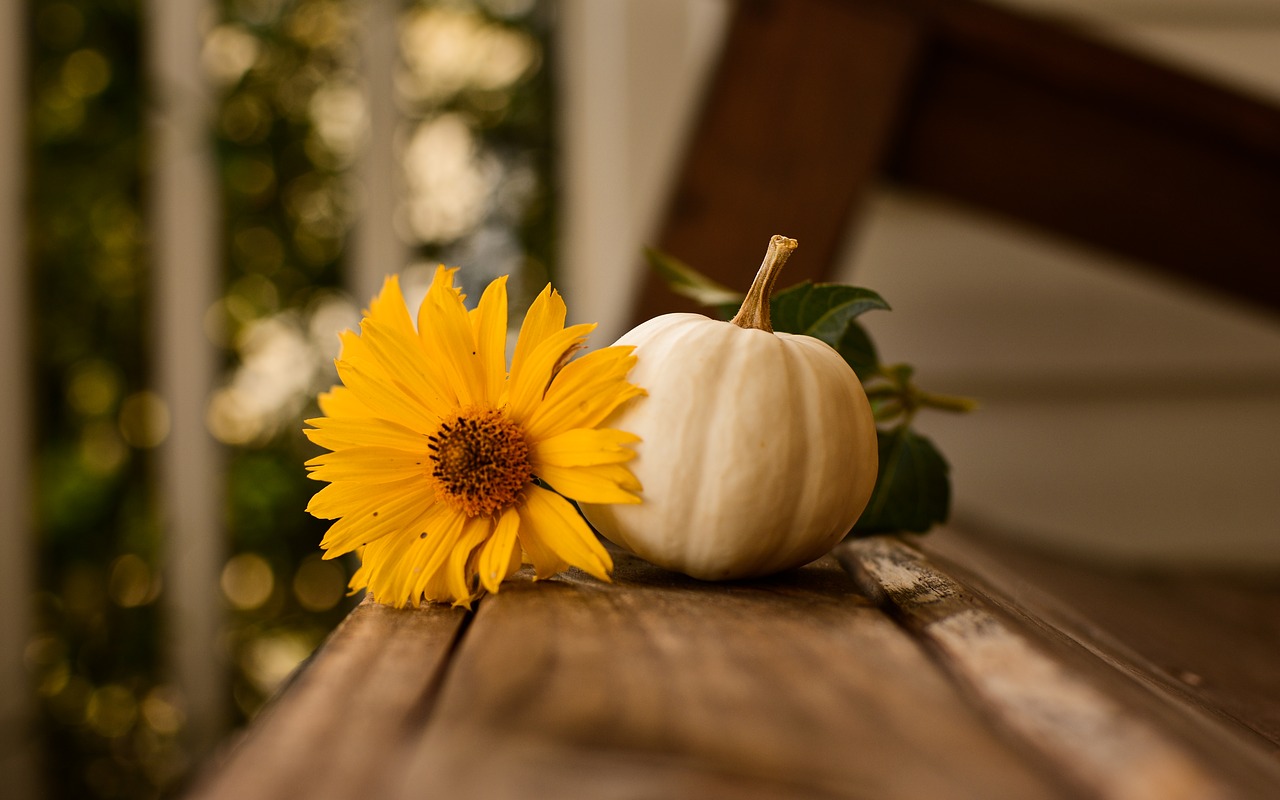 maschera alla zucca per il viso