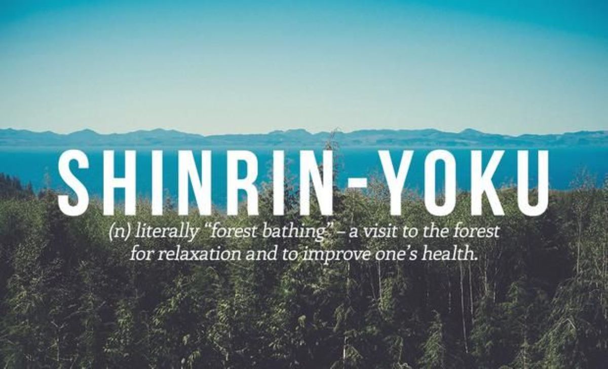 Shinrin yoku cos'è