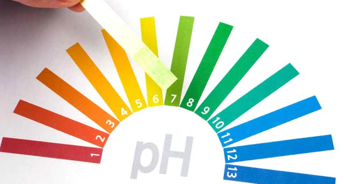 pH alcalino nell'organismo
