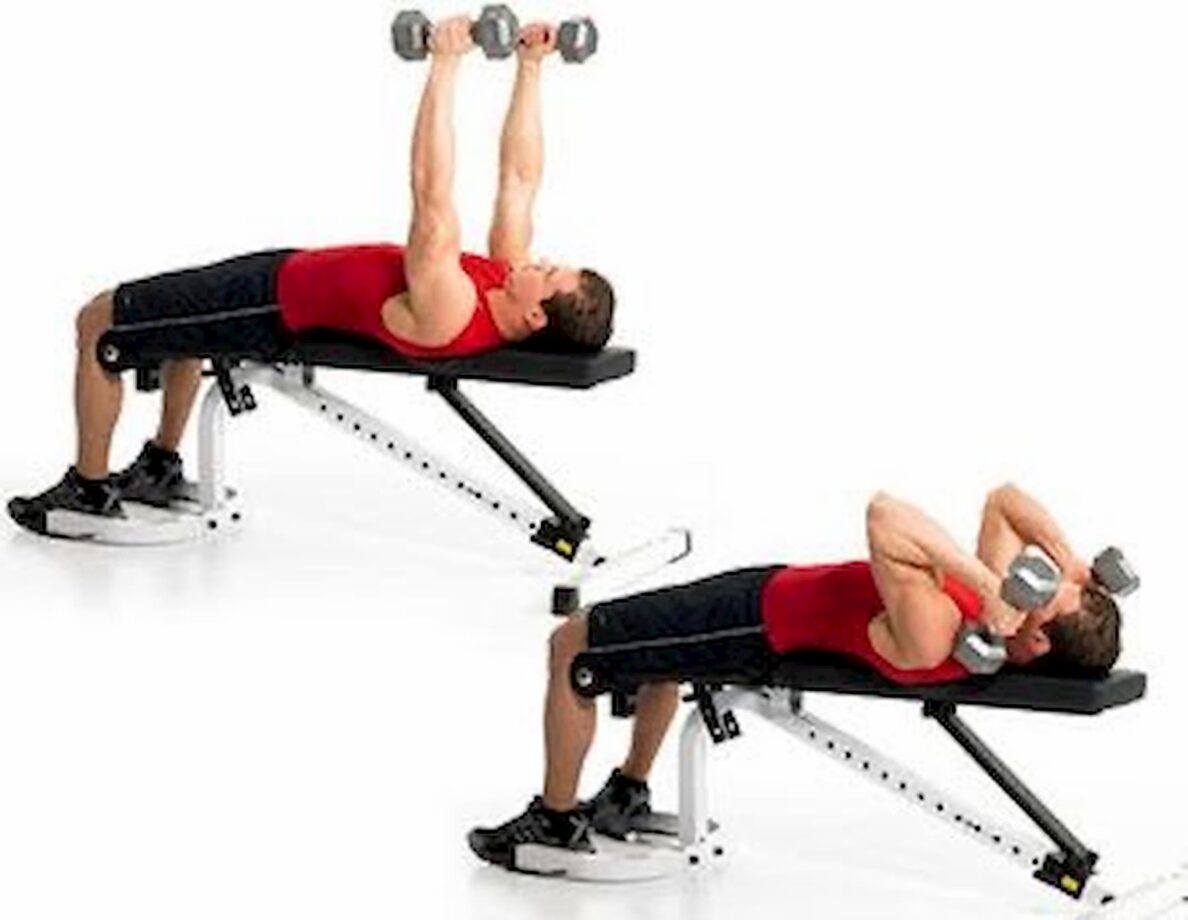 Esercizi Per I Tricipiti Con Pesi TuoBenessere it Esercizi Per I Tricipiti Con Pesi TuoBenessere it