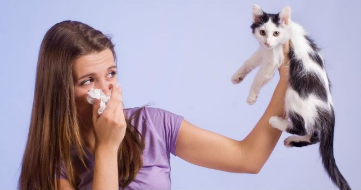 Immunoterapia per allergia ai gatti