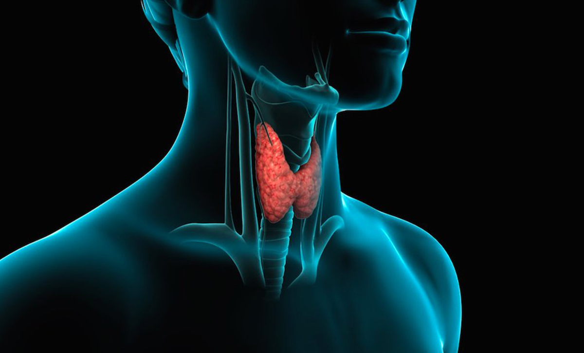 cibi evitare tiroide
