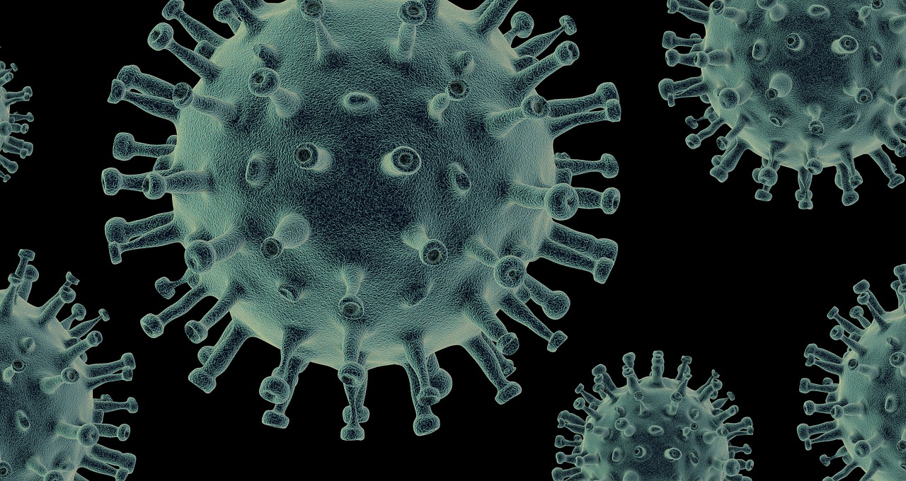 citomegalovirus