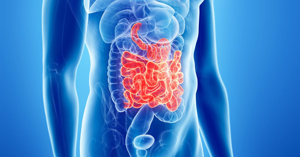 disbiosi intestinale sintomi