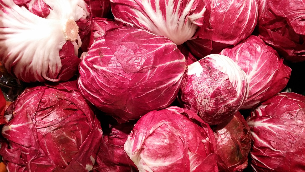 radicchio rosso proprietà