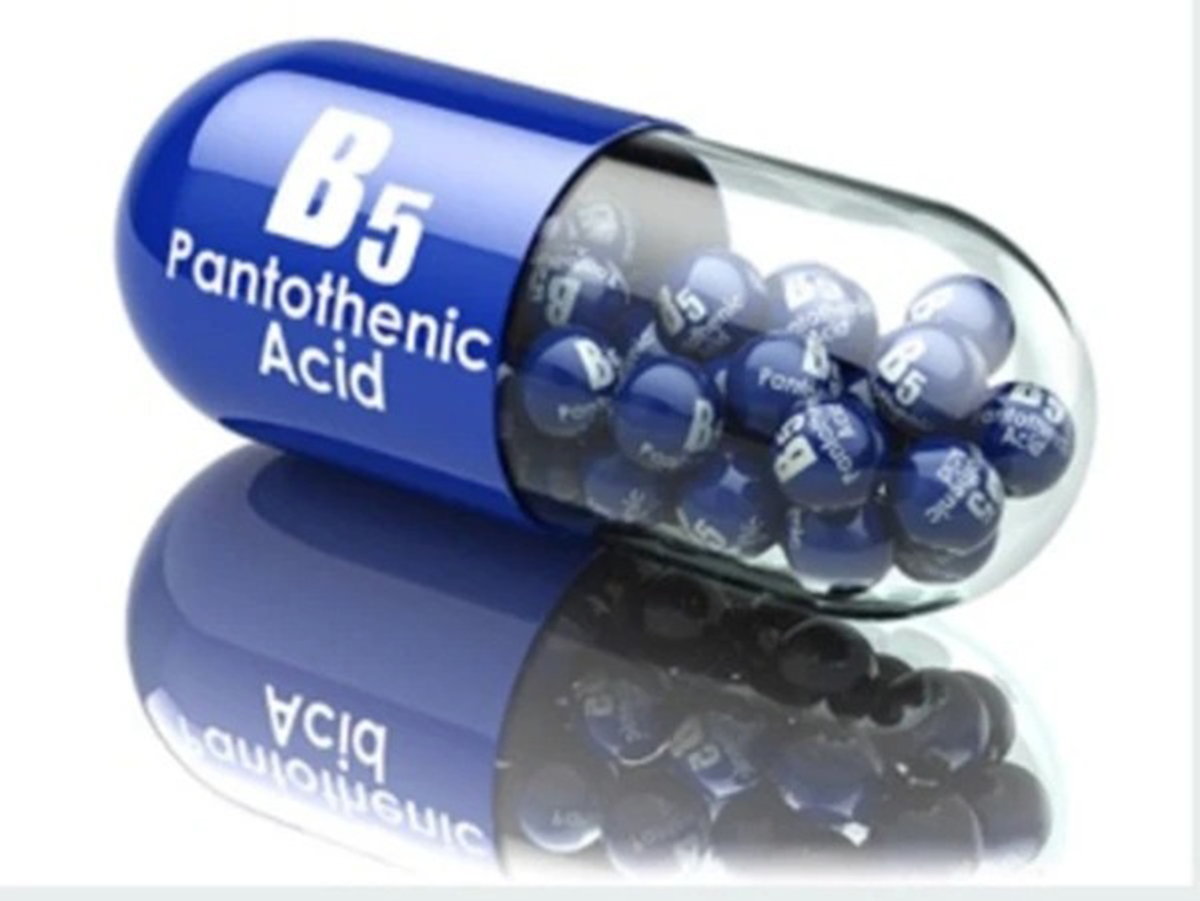 vitamina B5 alimenti