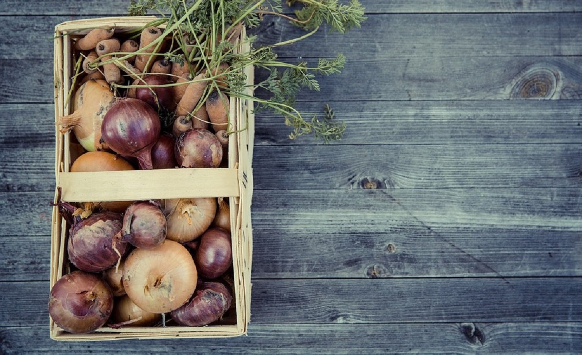 Dieta climatariana, cos'è?