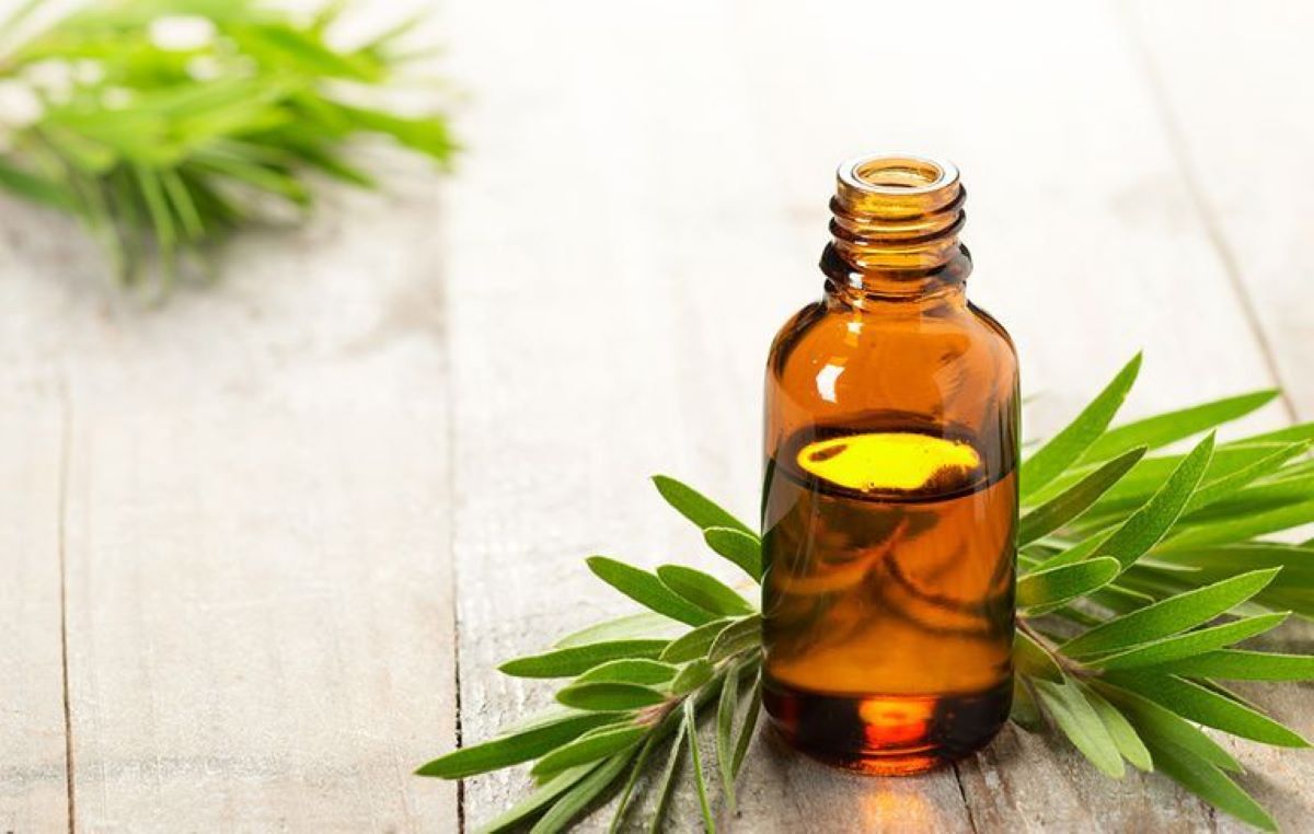 Rischi degli integratori al tea tree oil