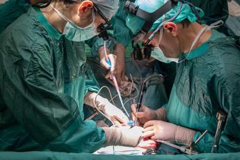 trapianti seconda paziente riceve rene maiale negli usa operata anche al cuore 2