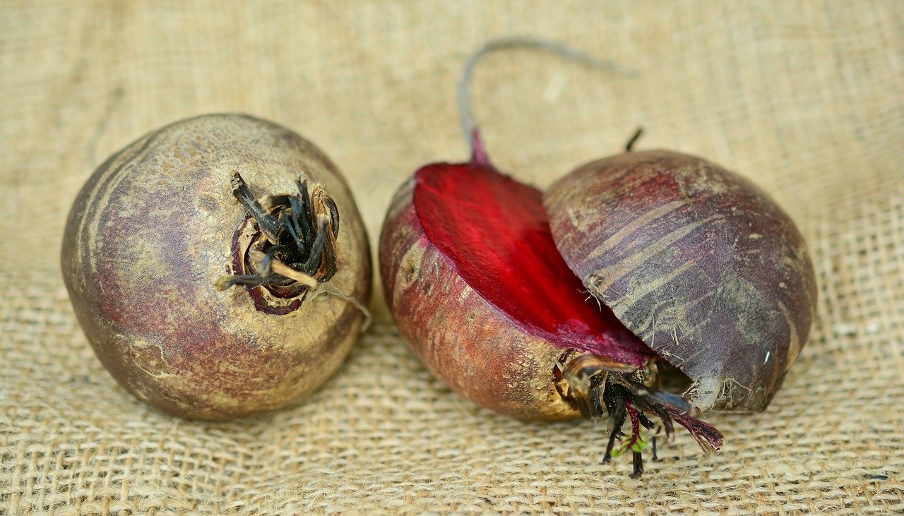 barbabietola rossa proprietà