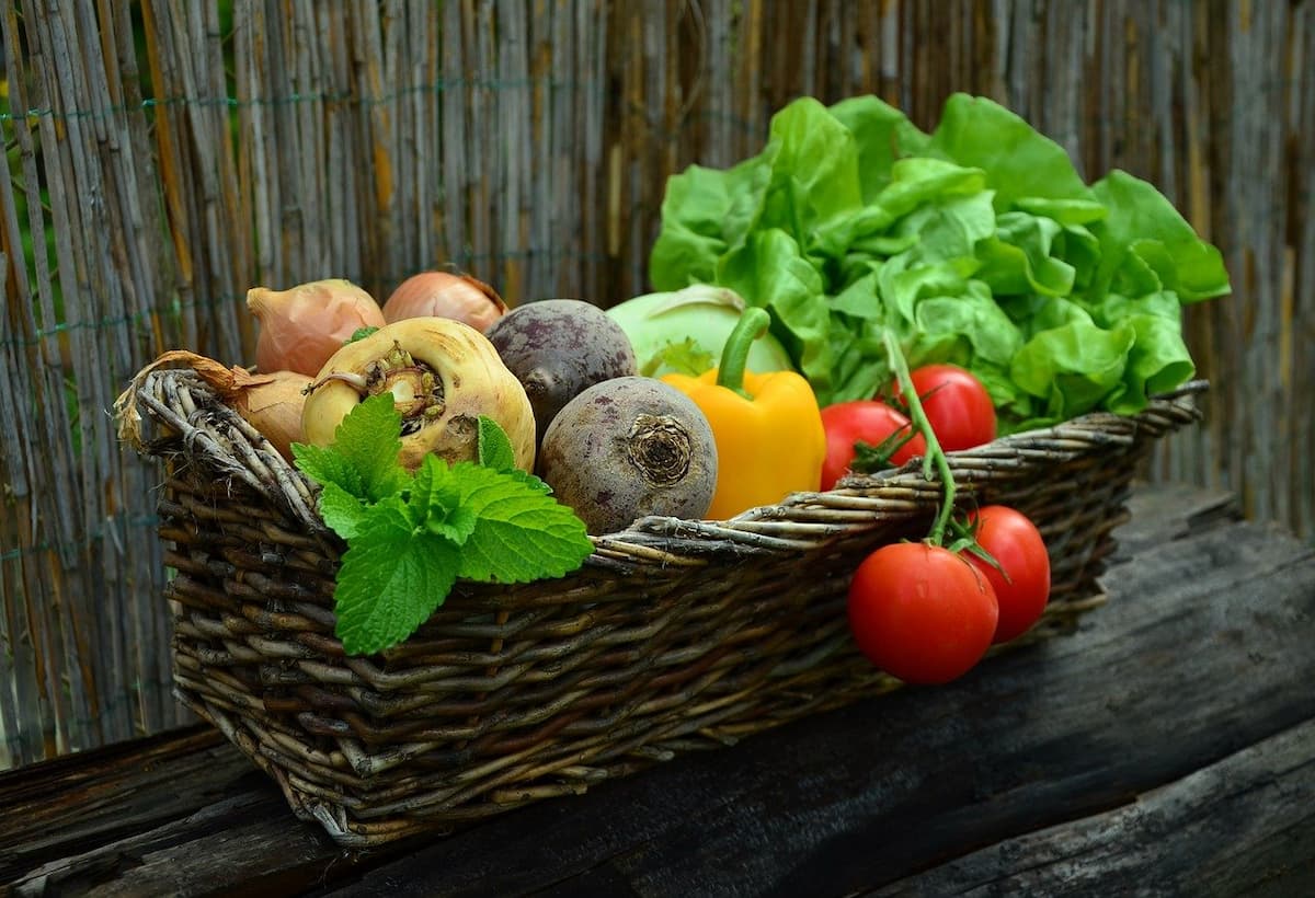 come consumare più ortaggi verdure
