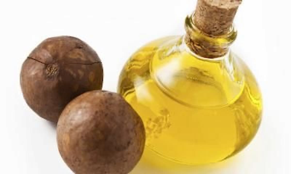 olio macadamia