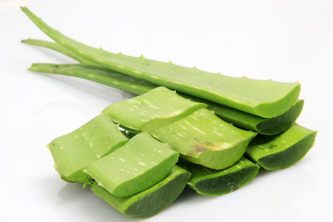 aloe vera capelli