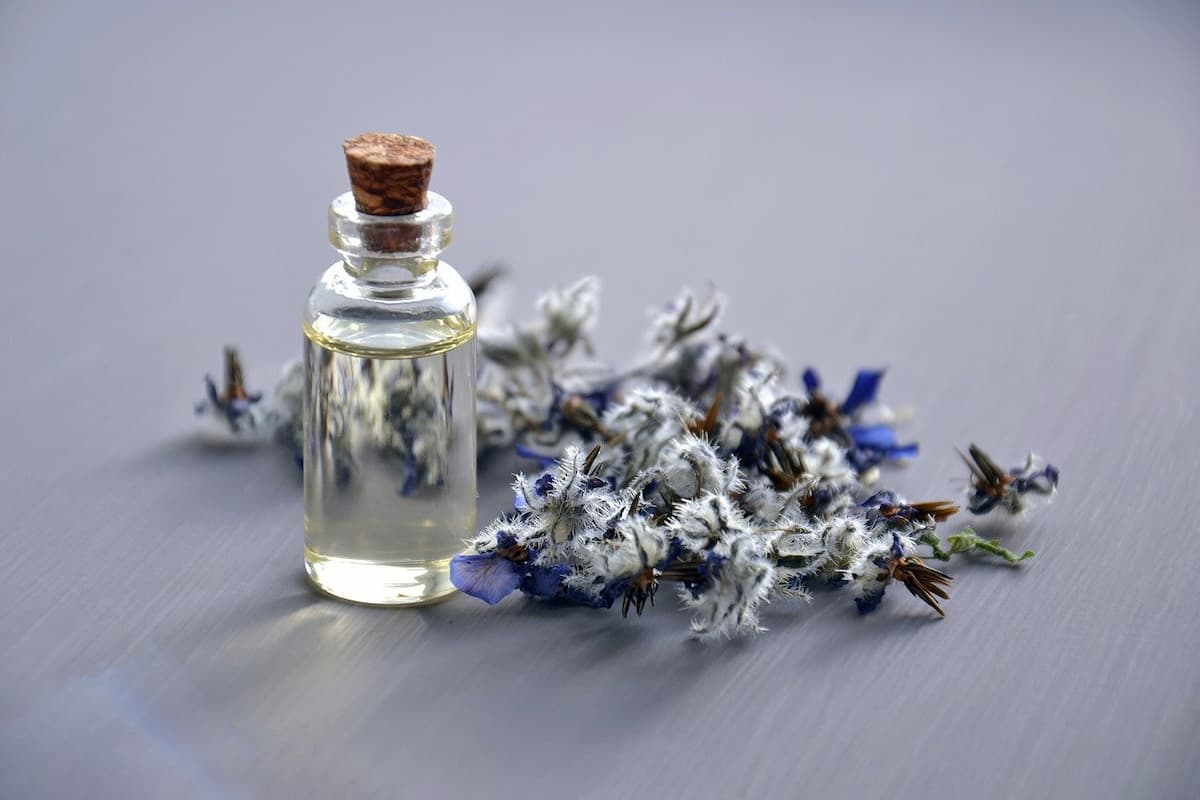 olio borragine
