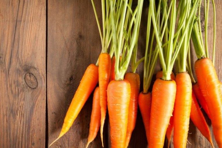 Carote: i benefici per stomaco e intestino