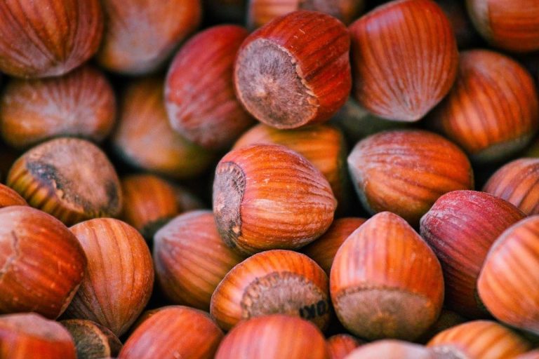 nocciole benefici capelli